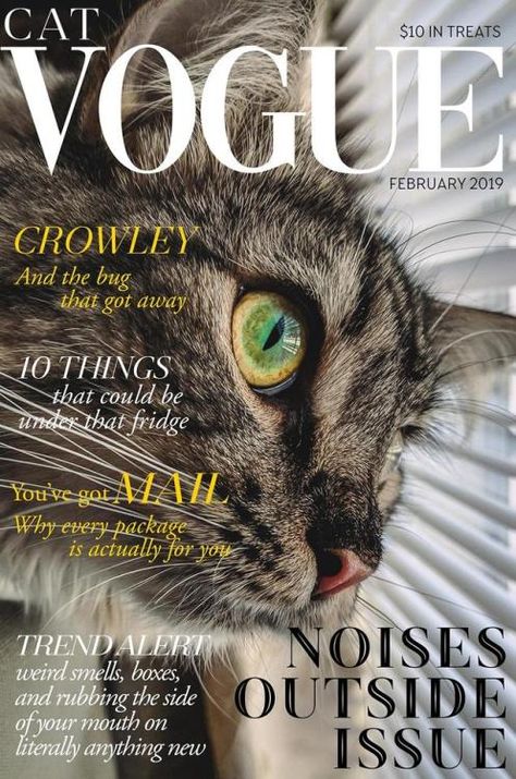 supermodelcats:  If there was a Cat Vogue magazine can you imagine your picture being in it? Hmm lets see  #funny #memes #jokes Cat Magazine Cover, Positive Meme, Animal Magazines, Cat Magazine, Vogue Photography, Cat Food Brands, Photo Wall Display, Flyer Inspiration, Positive Memes