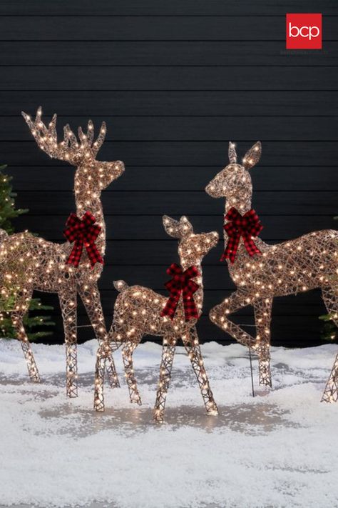 Lighted Reindeer Outdoor Christmas, Light Up Reindeer Outdoor, Light Up Deer Christmas Outside, Christmas Deer Decorations Outdoor, Reindeer Yard Decorations, Outdoor Reindeer Decorations, Outdoor Xmas Decorations Front Yards, Front Yard Christmas Lights, Christmas Deer Outdoor