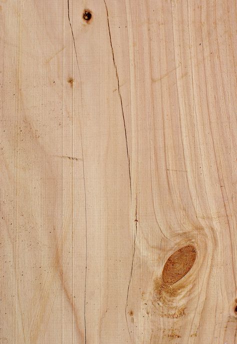 WW81: Wood Texture: Macrocarpa pine | by Craig Jewell Photography Light Wood Texture, Wooden Panelling, Art Fox, Fresh Farmhouse, Wood Sample, Wood Designs, Texture Mapping, Material Textures, Materials And Textures