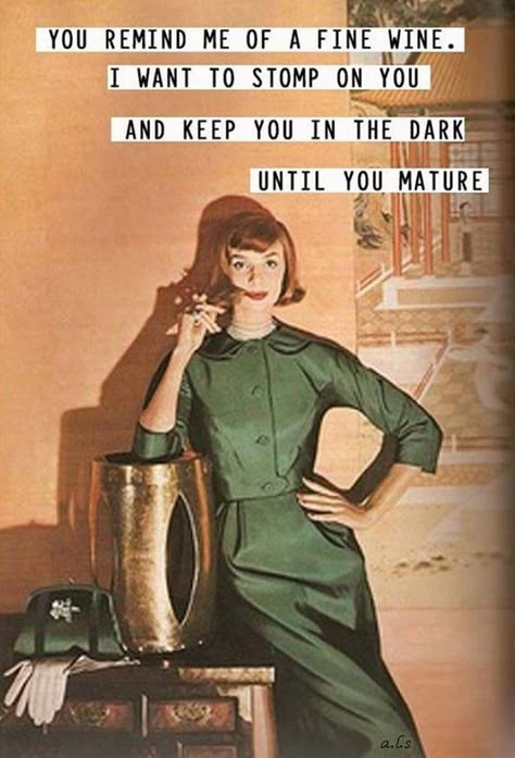 21 Funny 1950s Sarcastic Housewife Memes ~ Humor for the Ages 5 December Quotes, Memes Hilarious, Christian Memes, Retro Humor, Memes Humor, E Card, Vintage Humor, Bones Funny, I Laughed