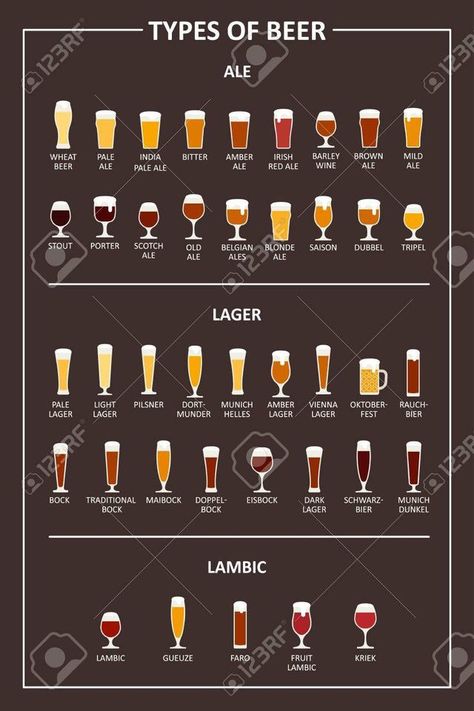 Craft Beer Quotes, Beer Infographic, Mild Ale, Beer Tag, Craft Beer Packaging, Beer Types, Beer Guide, Types Of Beer, Beer Quotes