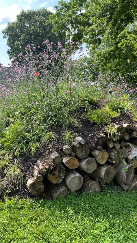 hugel garden Mound In Garden, Mound Planting Garden Ideas, Raised Mound Garden Beds, Hugel Beds Garden, German Garden Design, Garden Mounds Landscaping Ideas, Mounded Garden Beds, Raised Garden Bed Landscaping, Mound Gardening Beds