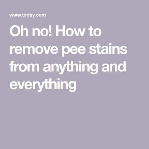 Pee Stains, Urine Stains, Rock Fireplaces, Bed Pads, Dog Pee, Pet Stains, Nothing More, Stain Remover, Household Hacks