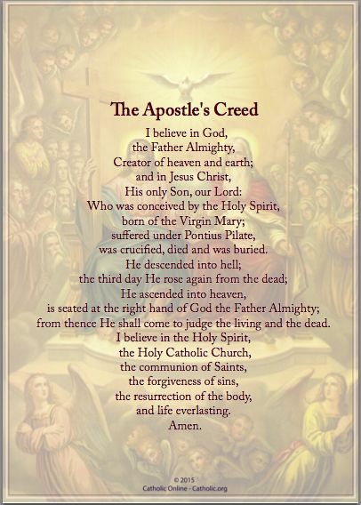 Apostle Creed, Nicene Creed Catholic, The Creed Catholic Prayer, Apostle's Creed, Rosary Prayers Catholic, Night Kids, Catholic Doctrine, Apostles Creed, The Apostles