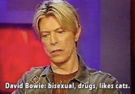 Ziggy Stardust, Memes Br, Music Memes, Oui Oui, What’s Going On, Reaction Pics, David Bowie, Classic Rock, Labyrinth