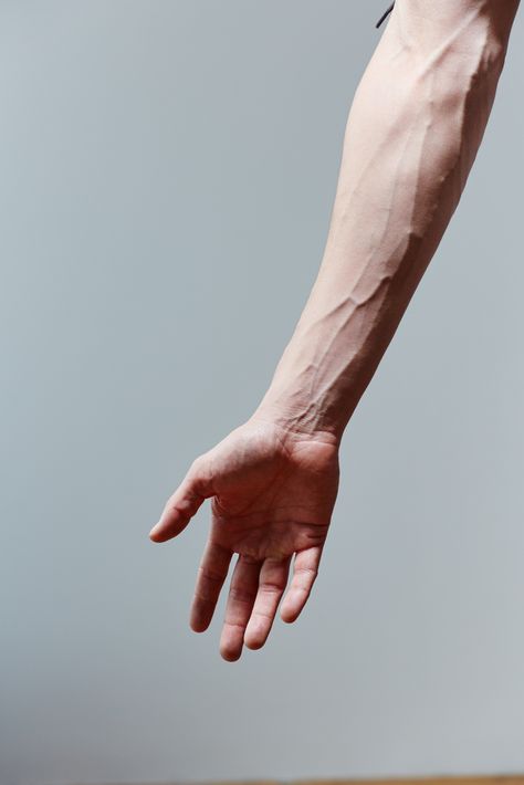 Hand Veins, Man Hand, Figurative Kunst, Hand Photography, Hand Drawing Reference, Photographie Portrait Inspiration, Body Photography, Hand Reference, Human Reference