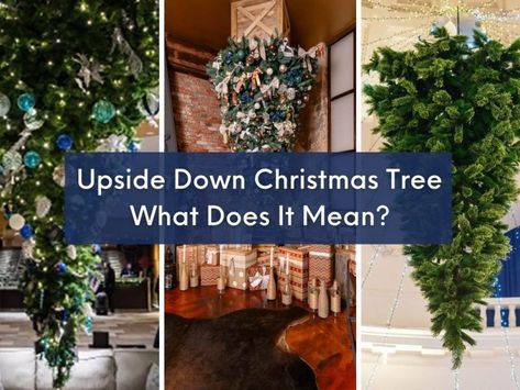 Upside Down Christmas Tree Hanging From Ceiling, Upsidedown Christmas Trees Diy, Upside Christmas Tree, How To Hang A Christmas Tree Upside Down, Upside Down Xmas Tree, Inverted Christmas Tree, Christmas Tree Upside Down, Upside Down Christmas Tree Hanging, Upside Down Tree Christmas