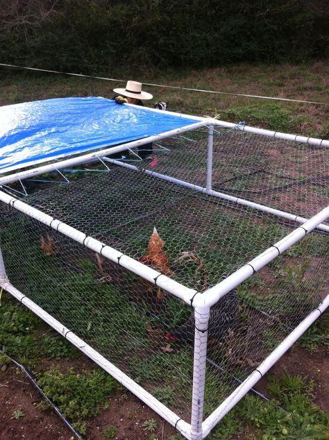 Chicken tractor Small Chicken Tractor, Pallet Chicken Tractor, Chicken Tractor Pallets, Broiler Chicken Tractor, Chicken Tractor For Meat Chickens, Tractor Supply Chicken Coop, Broiler Chicken, Small Chicken Coops, Meat Birds