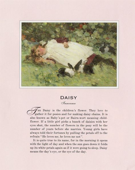 Illustrated David Fulton, Scottish (1848-1930) "Lazy Afternoon" | #Literary #quotes #book #words #illustration Language Of Flowers, He Loves Me, Pretty Words, Aesthetic Photo, Pretty Quotes, Wall Collage, Beautiful Words, Words Quotes, Aesthetic Pictures