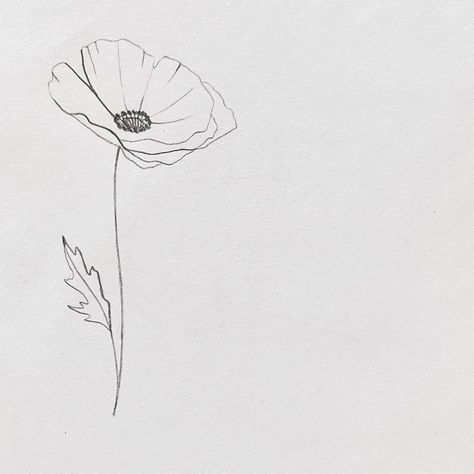 emma fern ginsberg on Instagram: “Excited for this one! #poppy #flower #simple #small #handpokedtattoo #machinefreetattoo #stickandpoketattoo #kcmo #kansascity” Iceland Poppy Tattoo, Simple Poppy Flower Tattoo, Delicate Poppy Tattoo, Flower Line Art Simple, Poppy Flower Drawing Simple, Dainty Poppy Tattoo, Poppy Line Drawing, Fine Line Poppy Tattoo, Simple Poppy Tattoo