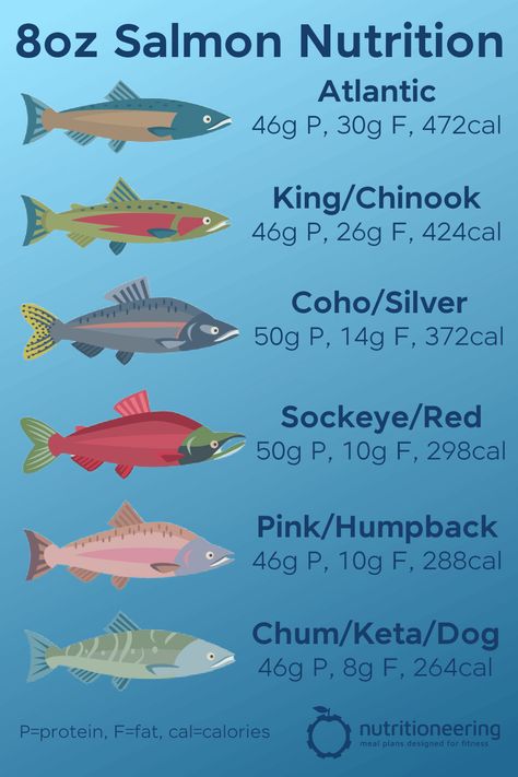 Protein Infographic, Natural Protein Shake Recipes, Salmon Nutrition Facts, Salmon Protein, Natural Protein Shakes, Salmon Species, Nutrition Infographic, Food Nutrition Facts, Salmon Farming