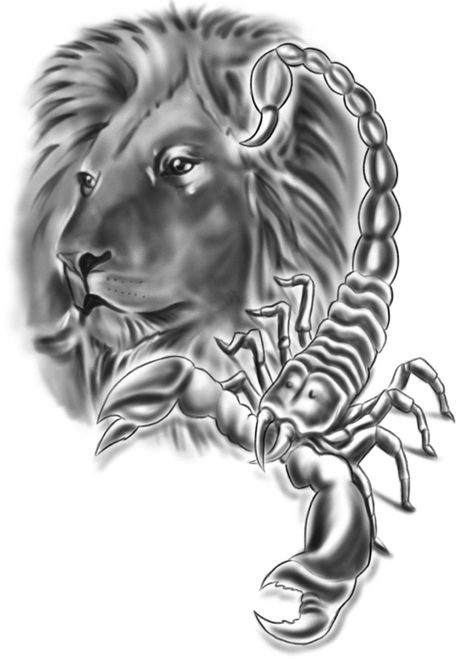 Lion And Scorpion Tattoo Together, Scorpion And Lion Tattoo, Lion Scorpion Tattoo, Leo And Scorpio Tattoo, Scorpion Tattoos, Scorpio Zodiac Tattoos, Leo Zodiac Tattoos, Scorpio Art, Petit Tattoo