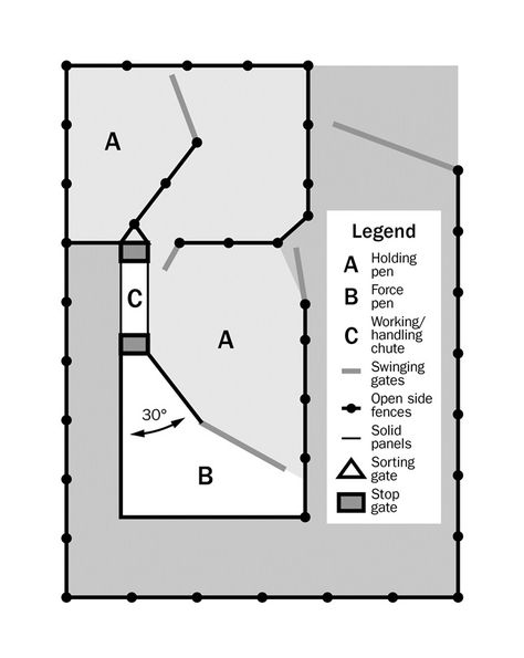 Diagram of a basic sheep handling facility for sheep flocks. It is an upside down L-shape. Moveable gates allow the holding pens to be divided into small sections to create holding pens and force pens. The animals move from the top of the upside down L, along the side, to the bottom of the upside down L. At the bottom, the animals can then be forced into a smaller area along the side of the L for handling. Small Cattle Working Pens, Sheep Corral Ideas, Sheep Working Facility, Sheep Yards Designs, Cattle Pens Ideas, Cattle Working Pens Design, Sheep Pen Ideas, Cattle Pens, Cattle Facility