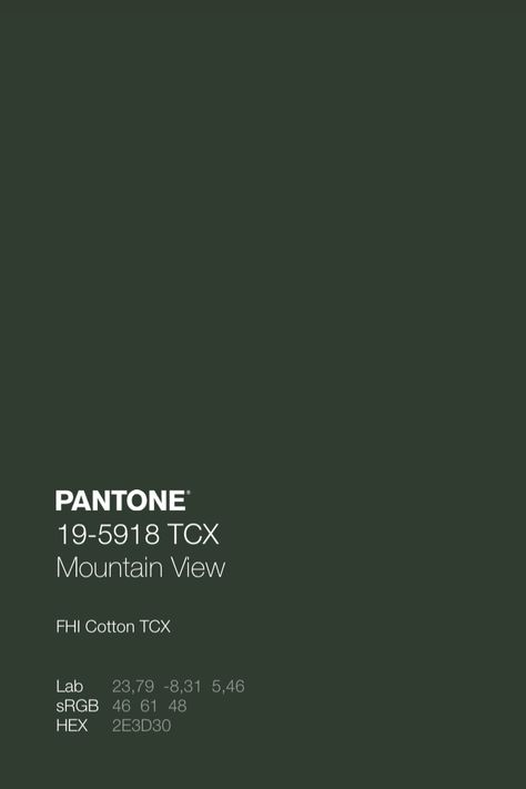 Aesthetic Dark Green, Free Adobe Illustrator, Pantone Color Chart, Pantone Palette, Pantone Colour Palettes, Color Design Inspiration, Dark Green Aesthetic, Pantone Colors, Rays Of The Sun