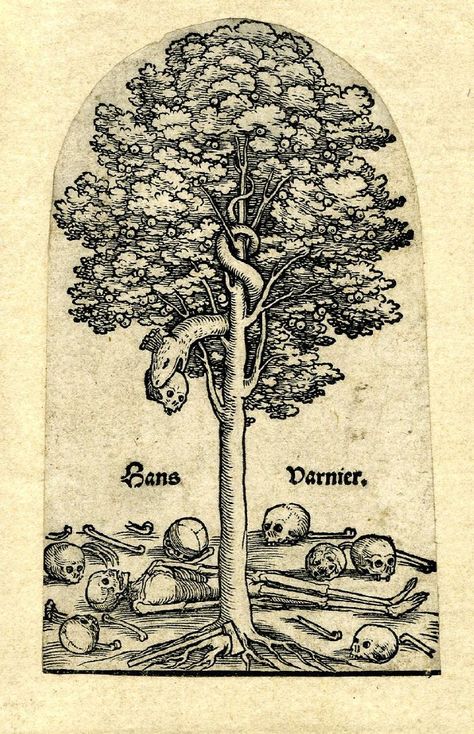 Sacred Herbs, The Tree Of Knowledge, Tree Of Knowledge, Etching Tattoo, Medieval Drawings, Engraving Tattoo, Medieval Artwork, Sacred Tree, Bodhi Tree