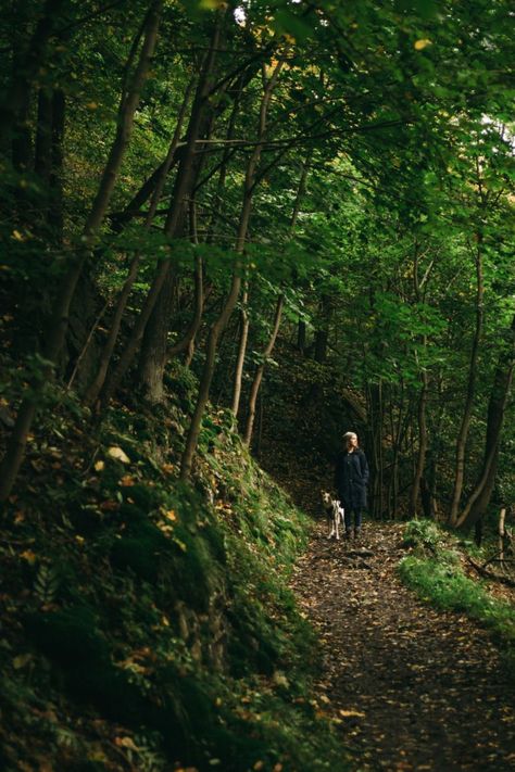 Hiking Portraits, Misty Aesthetic, Hiking With Dog, Bestie Shoot, Trekking Photography, Hiking With Dogs, Outdoors Aesthetic, Hiking Dog, Dog Hiking