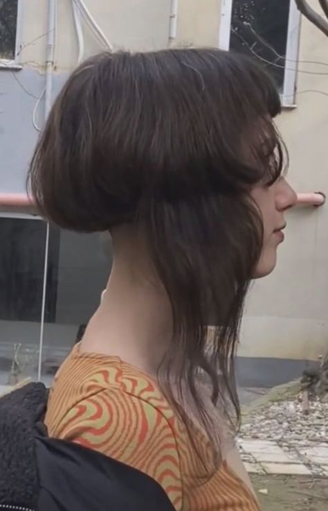 Reverse Jellyfish Haircut, Jellyfish Bob Haircut, Jellyfish Haircut Long, Jellyfish Haircut Short, Disconnected Bob, Jellyfish Hair, Jellyfish Haircut, Extreme Haircut, Haircut Fails