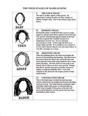 Sisterlocks Styles, Sister Locs, Short Locs Hairstyles, Dreads Styles, Hair Cute, Goddess Locs, Pictures Hairstyles, Sisterlocks, Dreadlock Hairstyles