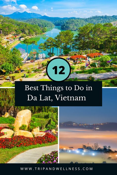 Planning a trip to Da Lat, Vietnam? Explore our top picks for the 12 Best Things to Do. 🌳🌸 From serene gardens to thrilling experiences, make the most of your visit! #DaLatTravel #VietnamExploration 🌍 Vietnam Da Lat, Da Lat Vietnam, Vietnam Holiday, Dalat Vietnam, Vietnam Holidays, Vietnam Voyage, Travel Italy, Planning A Trip, June 2024