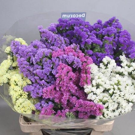 Limonium Flower Bouquet, Statice Flower Bouquet, Ultraviolet Wedding, Limonium Flower, Statice Flowers, Statice Flower, June Flowers, Dutch Flowers, Orchard Garden