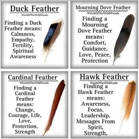 Feather Color Meaning, Feather Magic, Feather Symbolism, Feather Meaning, Animal Spirit Guides, Witch Spirituality, Magic Spell Book, Spiritual Journals, Witchcraft Spell Books