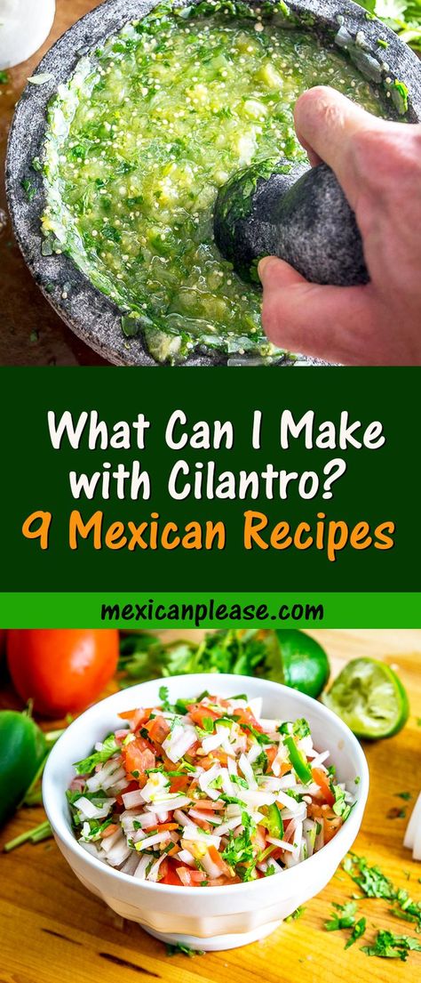 Cilantro Vegetarian Recipes, Dips With Cilantro, Uses For Cilantro Recipe, Chicken With Cilantro Recipes, Chicken And Cilantro Recipes, Cilantro Recipes Ideas Dinners, Ways To Use Cilantro, Cooking With Cilantro, Recipes Using Fresh Cilantro