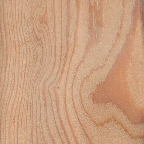 European Larch | The Wood Database - Lumber Identification (Softwood) Larix Decidua, Toilet Remodel, Diy Hummingbird Feeder, Larch Cladding, Small Rv, Larch Wood, Conifer Trees, Wood Sample, Exterior Cladding