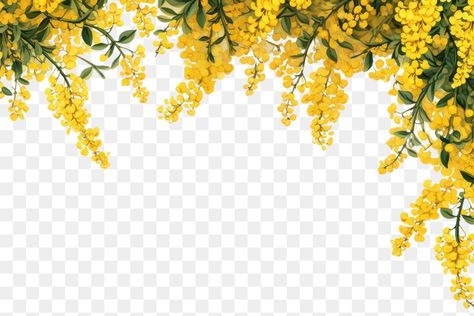 Yellow Hanging Flowers, Yellow Flowers Illustration, Haldi Template Background, Yellow Flowers Background, Yellow Flowers Png, Yellow Flower Background, Backgrounds Yellow, Indian Invitation, Libra Color