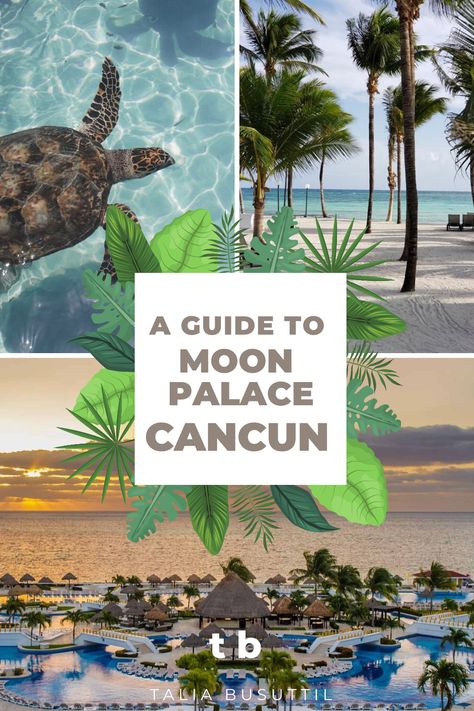 In my travel guide, I share my own personal experience when I had a trip to Cancun Moon Palace  Mexico. I share what to do in Cancun, as well as some Cancun vacation tips and Cancun vacation things to do. The Moon Palace Resort really gives you some Mexican inspiration with the foods they offer and activities. I hope you enjoy my travel guide for the Moon Palace resort vacation. #mexico #bestmexico #holidayideas #tropicalholiday Sun Palace Cancun Mexico, Grand Moon Palace Cancun, Palace Resorts Cancun, Cancun Mexico Moon Palace, Cancun Moon Palace Resort, Moon Palace Cancun Wedding, Cancun Family Vacation, Cancun Excursions, Mexican Inspiration