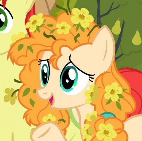 Pear Butter Mlp, Hybrid Fruits, Butter Aesthetic, Cursed Technique, My Little Pony Aesthetic, Coco Pommel, Pony Aesthetic, Elements Of Harmony, Pear Butter