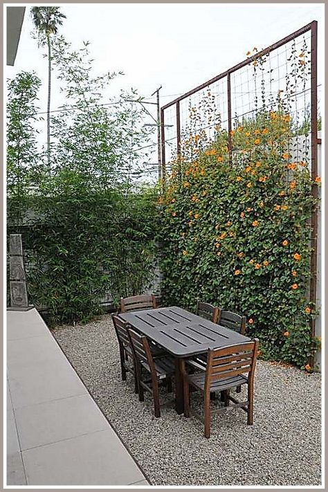 Outdoor Privacy Screens - Want more information and details? Click to visit for more tips. Green Backyard Landscaping, Backyard Privacy Screen, Backyard Wall, Green Backyard, Privacy Ideas, Ficus Pumila, Trellis Fence, Backyard Trees, Green Fence