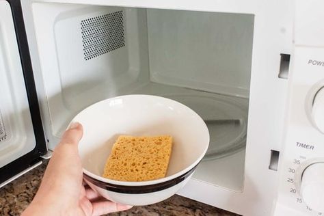 How to Keep a Kitchen Sponge From Smelling | Hunker Cleaning Diy, Mildew Smell, Kitchen Sponge, Cleaning Ideas, Smell Fresh, Washing Dishes, Sponge Cleaning, Diy Cleaning Products, Simple Tricks