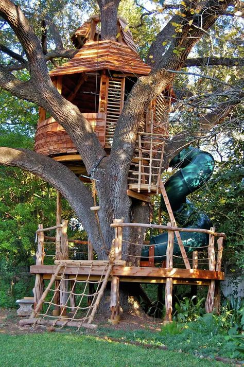 Attie Jonker has a quite a surprise in store for Animal Planet’s 'Treehouse Masters’... Beautiful Tree Houses, Treehouse Masters, Fairy Tree Houses, Fairy Tree, Fun Sized, Minecraft Houses, Animal Planet, Small House Design, Modern House Exterior