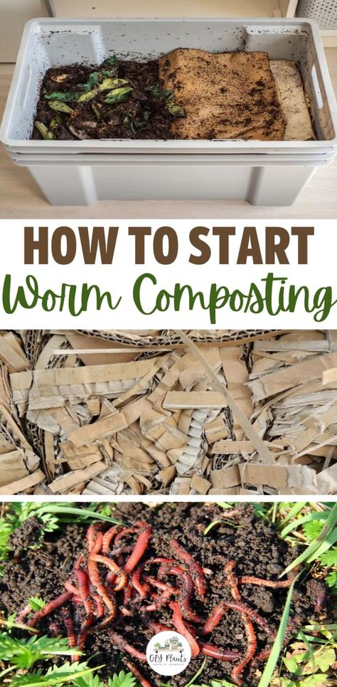 How to Start Worm Composting Compost Worm Bin, How To Start A Worm Bed, Worm Bins, Vermi Compost, Indoor Worm Composting, Diy Indoor Worm Composter, Worm Composter Diy, Red Wiggler Worms Compost, How To Start A Worm Farm Composting Bins