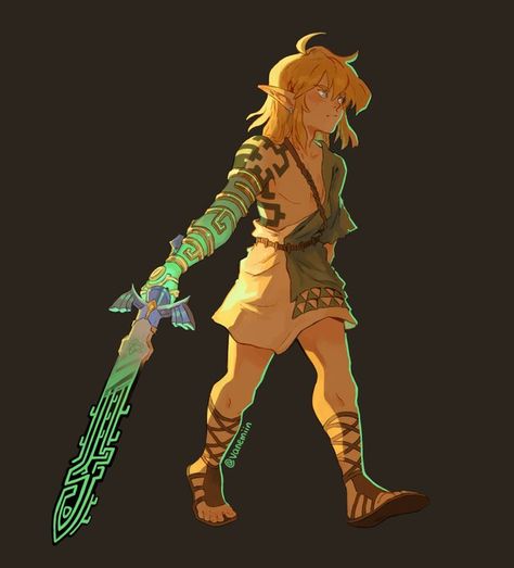 Legend Of Zelda Tears Of The Kingdom, Hero's Shade, Zelda Fanart, Link Cosplay, Princesa Zelda, Zelda Botw, Link Zelda, Nintendo Art, Model Sheet