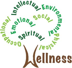 Wellness Dimensions, Holistic Development Poster, Health And Wellness Coaching, 2024 Wellness, Coaching Philosophy Sports, Holistic Learning, Pta Programs, Importance Of Physical Education, Life Balance Wheel