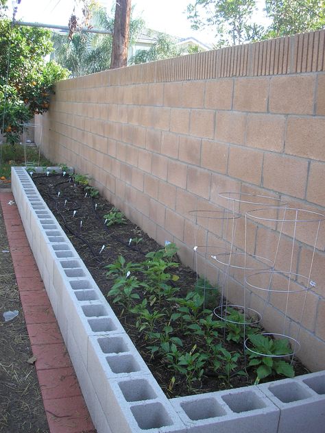 Besser Block Garden Bed, Concrete Block Raised Garden Bed, Cinderblock Raised Garden Beds, Paver Garden Bed, Block Garden Ideas, Raised Flower Beds Along Fence, Building A Raised Bed, Making Raised Garden Beds, Build A Raised Garden Bed