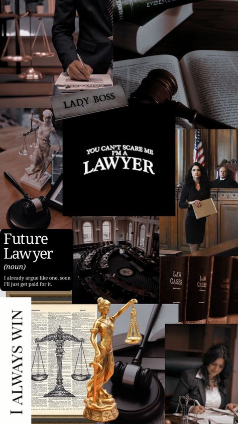 Lawyer Job, Project Cover Page, Law School Life, Law School Inspiration, My Future Job, Study Project, Career Vision Board, Good Lawyers, Best Filters For Instagram