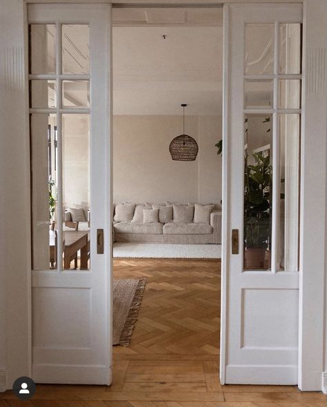 Living Room Double Doors, Idea For Room, Pocket French Doors, French Pocket Doors, Window Seat Ideas, Interior Pocket Doors, Sunroom Remodel, Pantry Door Ideas, Sliding Doors Internal