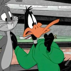 the looney tunes Daffy Duck Pfp, The Looney Tunes Show, Duffy Duck, Looney Tunes Wallpaper, Duck Pictures, Looney Tunes Show, Cartoon N, Drawing Cartoon Faces, Looney Tunes Characters