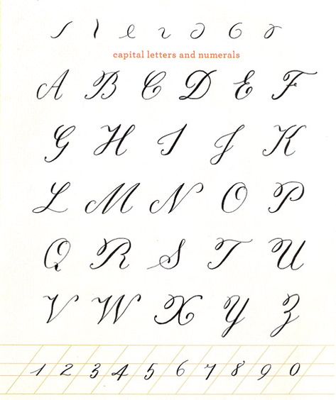 Fancy Cursive Calligraphy Alphabet | ... Calligraphy. The styles of this Calligraphy Alphabet is very cursive Alphabet Fonts Capital, Cursive Calligraphy Alphabet, Portfolio Lettering, Alphabet Practice Sheets, Alphabet Cursive, Fancy Cursive, Alphabet Calligraphy, Calligraphy Fonts Alphabet, Fonts For Tattoos