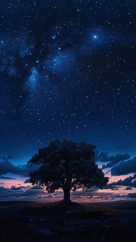 Night Time Scenery, Night Sky Digital Art, Night Sky Photography Stars, Fantasy Night Sky, Landscape Night, Night Landscape Photography, Night Sky Photography, Magical Night, Silhouette Painting