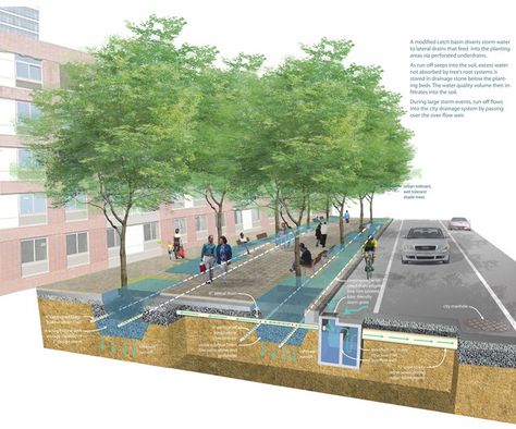 Cedar Rapids 10th Street Streetscape – Sasaki Koshino House, Campus Landscape, Streetscape Design, Landscape Architecture Plan, Stormwater Management, Urban Landscape Design, Street Trees, Sustainable City, Landscape Architecture Design