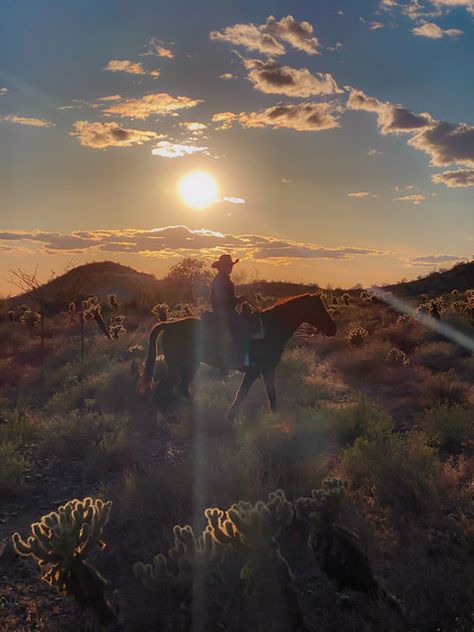 #cowby #arizona #art #beautiful #arizona2021 #roberttopa #photography #az #desert #Cactus #desertlandscape #topaphotography #sunset Arizona Desert Aesthetic, Phoenix Arizona Aesthetic, Arizona Farm, Matt Painting, Arizona Ranch, Arizona Aesthetic, Cowboy Lifestyle, Arizona Art, Desert Aesthetic