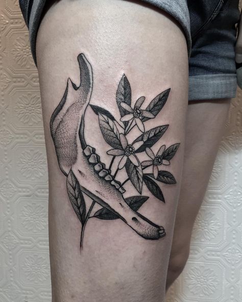 Elk jawbone and orange blossoms. #tttism #tattoodo #blacktattooart #blackworkerssubmission #blackworkers #btattooing #tattoo #tattoos Jaw Bone Tattoo, Animal Jaw Bone, Bone Hand Tattoo, Justin Ryan, Scar Cover Up, Bone Tattoo, Bone Tattoos, Orange Blossoms, B Tattoo