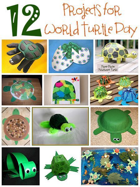 Today is World Turtle Day. Why not celebrate by making your own turtle? You can use a variety of household and craft items to make a collection of fun and unique turtles for yourself and everyone e… National Turtle Day, Turtle Classroom, Turtle Activities, World Turtle, World Turtle Day, Turtle Theme, Turtle Day, Turtle Crafts, Turtle Birthday