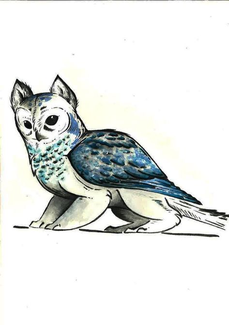 Owl Griffin, Owl Character, Owl Drawing, Owl Cat, Mythical Creatures Fantasy, Creatures Art, Mythical Animal, Owls Drawing, Canine Art