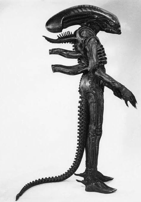 Xenomorph Costume, Alien Suit, Alien Cosplay, Giger Alien, Alien Photos, Alien 1979, Alien Costume, Arte Alien, Movie Directors