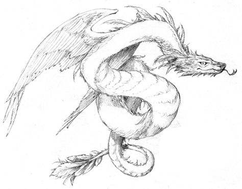 winged serpent | DnD 4E Discussion] Online CB has more teething problems than a sack ... Winged Snake, Sea Monster Tattoo Mythical Creatures, Winged Serpent Art, Flying Mythological Creatures, Akhlut Mythical Creatures, Winged Serpent, Monster Hunter Flying Wyvern, Speculative Evolution Dragon, Snake Dragon