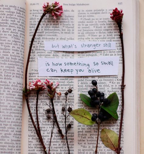 Dried Flowers Quotes, Flowers Quotes, An Open Book, Quotes Beautiful, Bible Notes, I'm With The Band, Open Book, Make Me Happy, Pressed Flowers